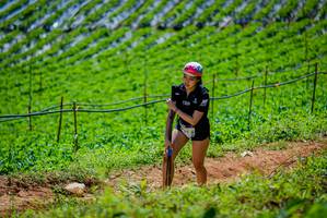 BIB: 
                            <button type="button" onclick="openModal(19164612)" class="btn btn-primary btn-sm float-right btn-popup" data-toggle="modal" data-target=".modal-high-quality">
                        <i class="fas fa-shopping-cart"></i> Add to Cart
                    </button>
                                            <button type="button" onclick="isThisMe(19164612, true)" class="btn btn-success btn-sm float-right btn-popup btn-isme hidden" data-toggle="tooltip" data-placement="bottom" title="นี่คือรูปของคุณใช่ไหม คลิกที่นี่เพื่อเอาเข้าอัลบั้ม">
                        <i class="fas fa-plus"></i> Add to album
                    </button>
                    <button type="button" onclick="isThisMe(19164612, false)" class="btn btn-warning btn-sm float-right btn-popup btn-isnotme hidden">
                        <i class="fas fa-ban"></i> Remove from album
                    </button>